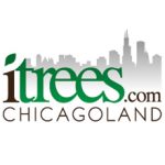 Profile picture of itrees Wheaton